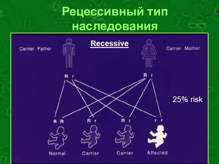 Рецессивный тип наследования