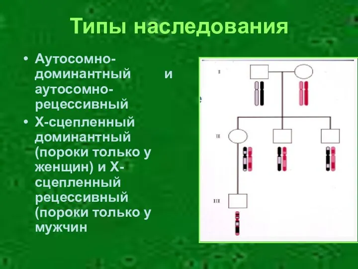 Типы наследования Аутосомно-доминантный и аутосомно-рецессивный Х-сцепленный доминантный (пороки только у