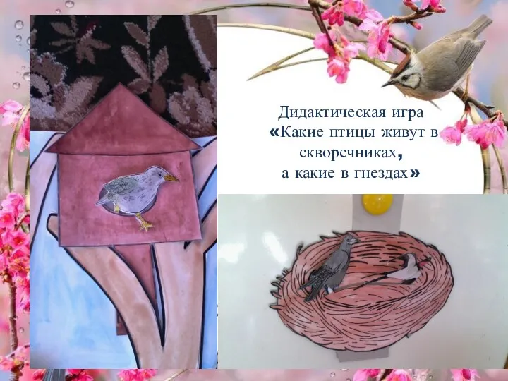 Дидактическая игра «Какие птицы живут в скворечниках, а какие в гнездах»