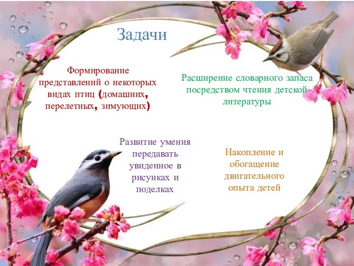 Задачи Формирование представлений о некоторых видах птиц (домашних, перелетных, зимующих)