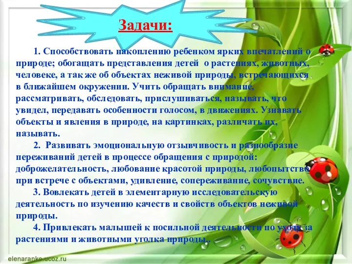 Задачи: 1. Способствовать накоплению ребенком ярких впечатлений о природе; обогащать