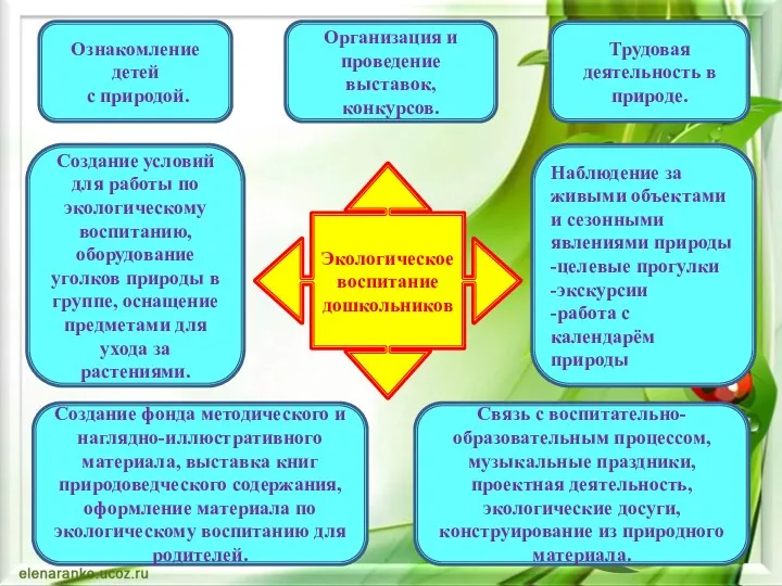 Экологическое воспитание дошкольников Ознакомление детей с природой. Трудовая деятельность в