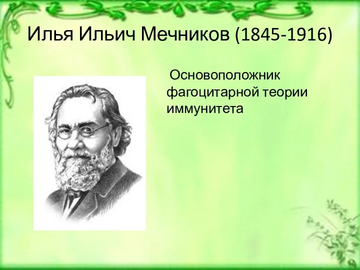 Илья Ильич Мечников (1845-1916) Основоположник фагоцитарной теории иммунитета