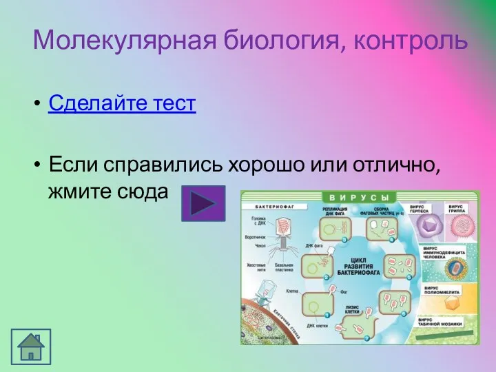 Молекулярная биология, контроль Сделайте тест Если справились хорошо или отлично, жмите сюда