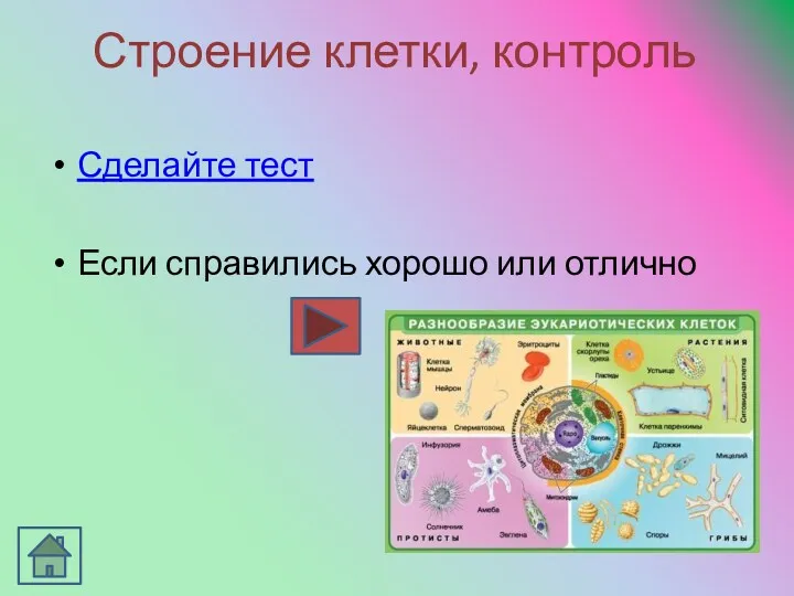 Строение клетки, контроль Сделайте тест Если справились хорошо или отлично