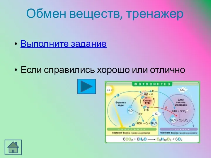 Выполните задание Если справились хорошо или отлично Обмен веществ, тренажер