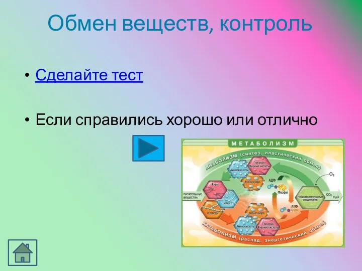 Обмен веществ, контроль Сделайте тест Если справились хорошо или отлично