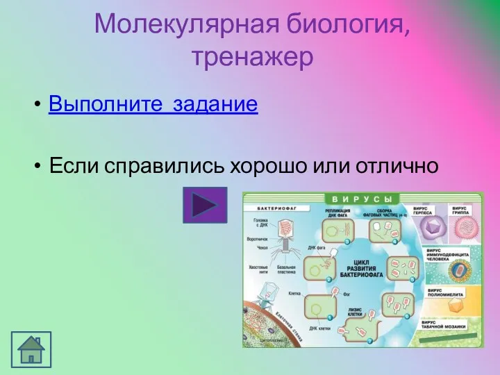 Выполните задание Если справились хорошо или отлично Молекулярная биология, тренажер