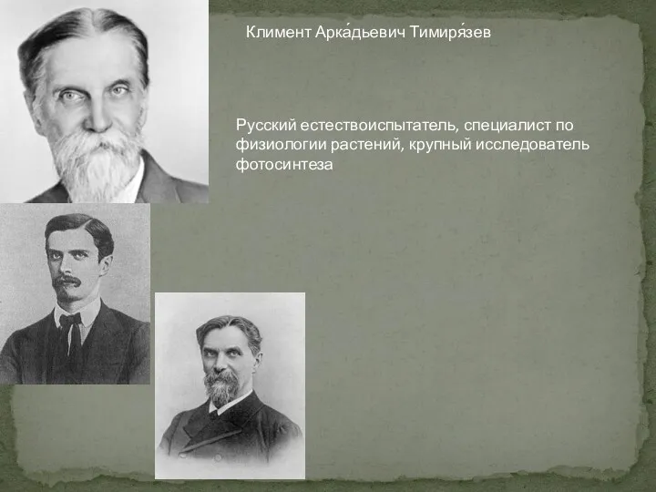 Русский естествоиспытатель, специалист по физиологии растений, крупный исследователь фотосинтеза Климент Арка́дьевич Тимиря́зев