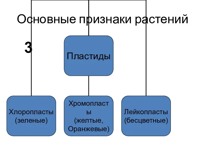 Основные признаки растений 3