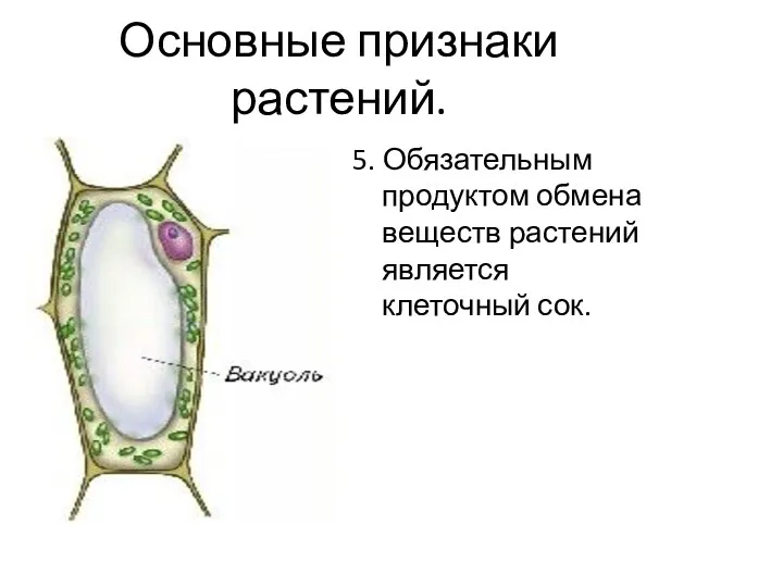 Основные признаки растений. 5. Обязательным продуктом обмена веществ растений является клеточный сок.