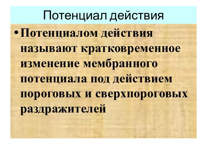 Потенциал действия Потенциалом действия называют кратковременное изменение мембранного потенциала под действием пороговых и сверхпороговых раздражителей