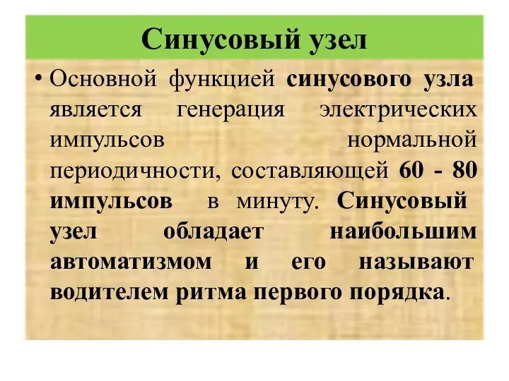 Синусовый узел Основной функцией синусового узла является генерация электрических импульсов