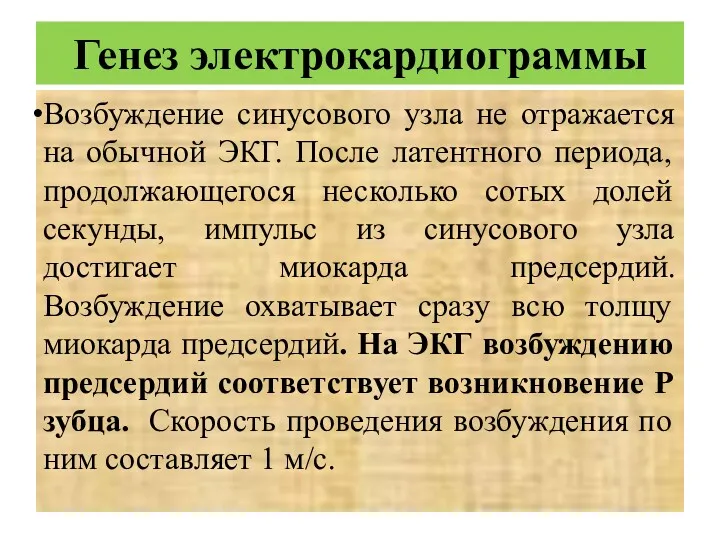 Генез электрокардиограммы Возбуждение синусового узла не отражается на обычной ЭКГ.