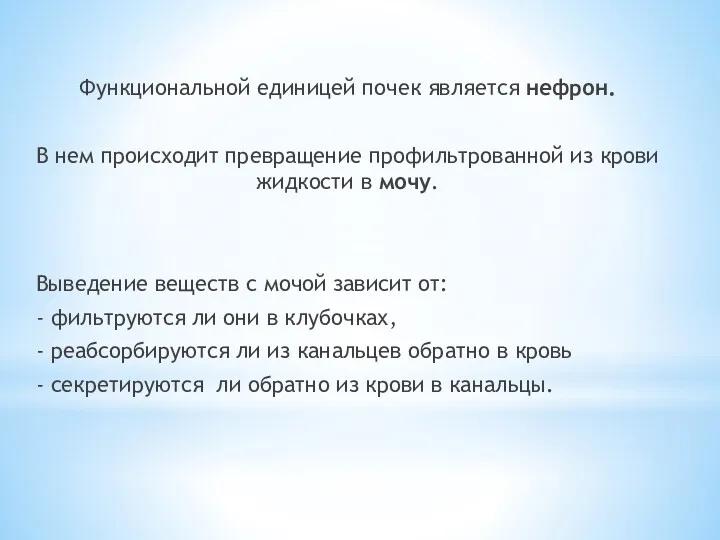 Функциональной единицей почек является нефрон. В нем происходит превращение профильтрованной