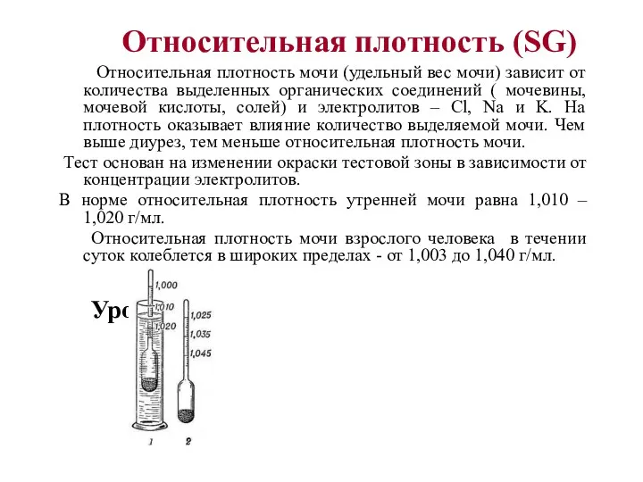 Относительная плотность (SG) Относительная плотность мочи (удельный вес мочи) зависит