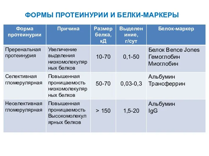 ФОРМЫ ПРОТЕИНУРИИ И БЕЛКИ-МАРКЕРЫ