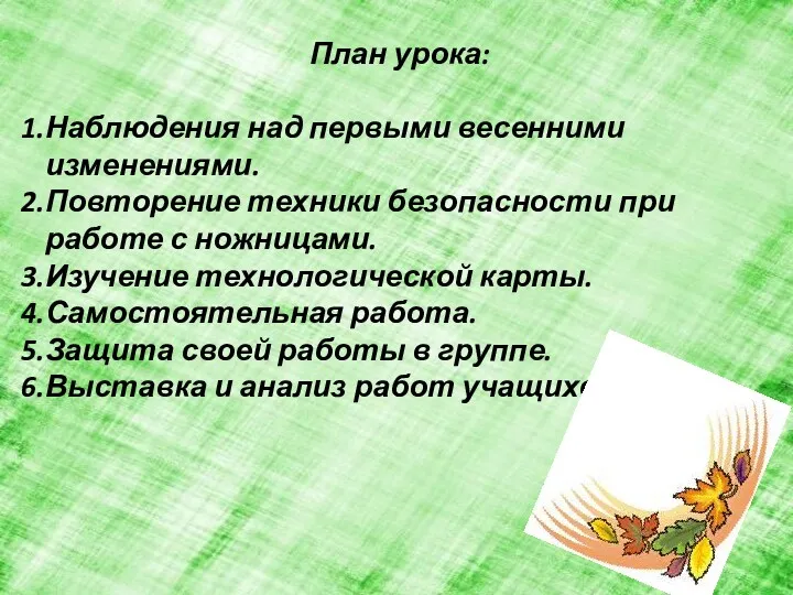 План урока: Наблюдения над первыми весенними изменениями. Повторение техники безопасности