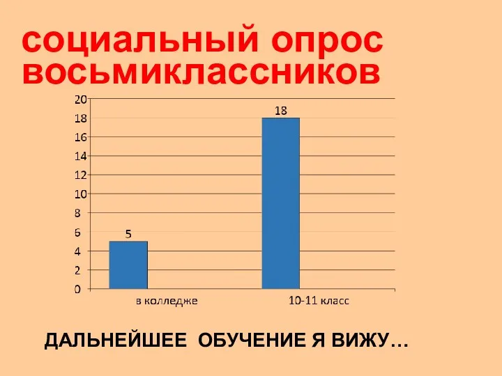 ДАЛЬНЕЙШЕЕ ОБУЧЕНИЕ Я ВИЖУ… социальный опрос восьмиклассников