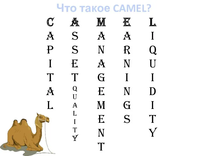 Что такое CAMEL?
