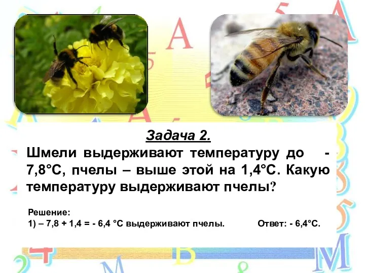 Задача 2. Шмели выдерживают температуру до - 7,8°С, пчелы –