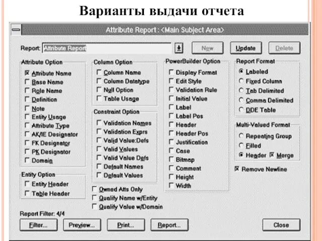 Варианты выдачи отчета