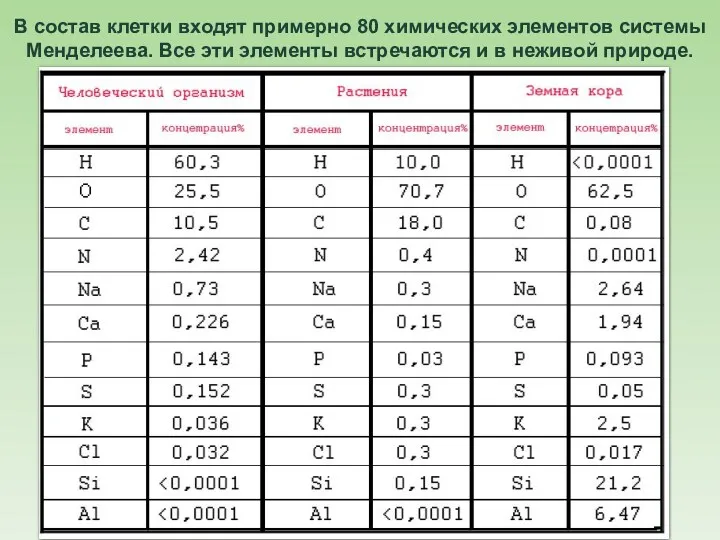 В состав клетки входят примерно 80 химических элементов системы Менделеева.