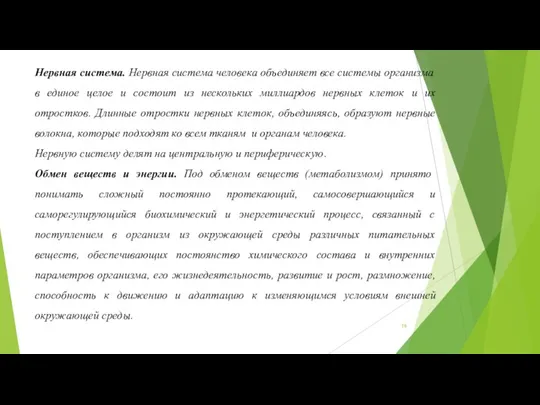 Нервная система. Нервная система человека объединяет все системы организма в