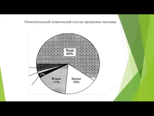 Относительный химический состав организма человека