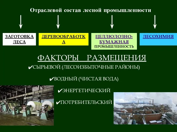 Отраслевой состав лесной промышленности ЗАГОТОВКА ЛЕСА ДЕРЕВООБРАБОТКА ЦЕЛЛЮЛОЗНО-БУМАЖНАЯ ПРОМЫШЛЕННОСТЬ ЛЕСОХИМИЯ