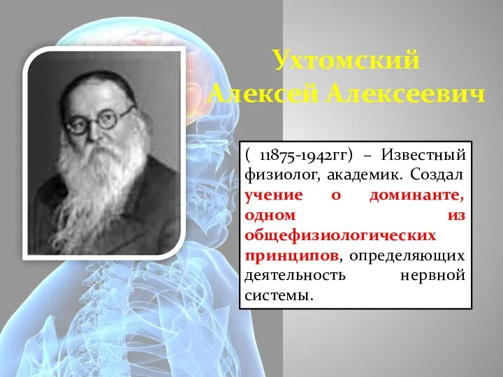 Ухтомский Алексей Алексеевич ( 11875-1942гг) – Известный физиолог, академик. Создал