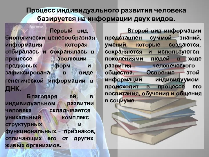 Процесс индивидуального развития человека базируется на информации двух видов. Первый