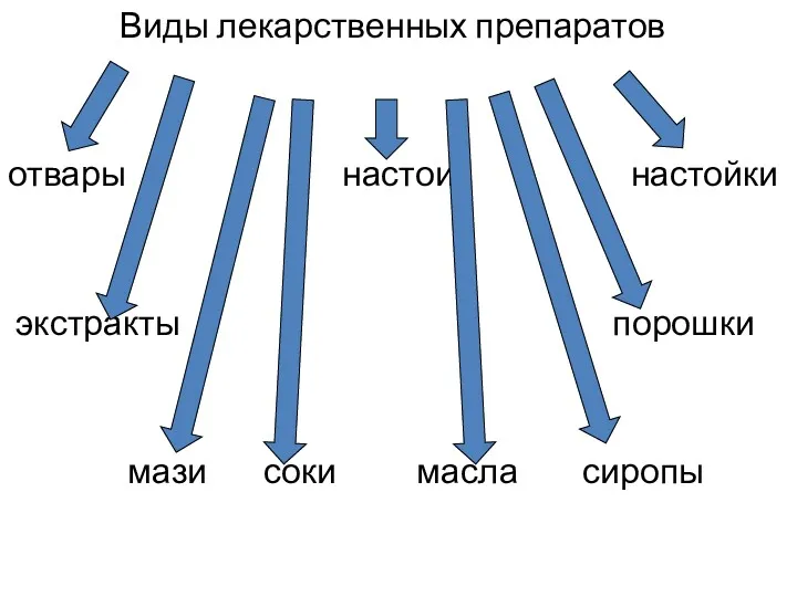 Виды лекарственных препаратов отвары настои настойки экстракты порошки мази соки масла сиропы