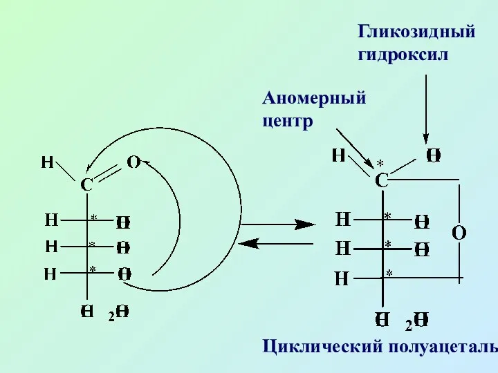 Аномерный центр Гликозидный гидроксил Циклический полуацеталь