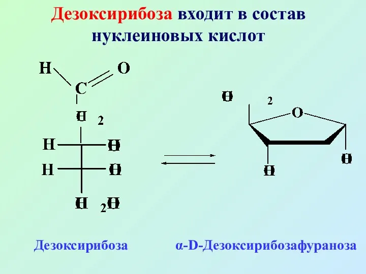 Дезоксирибоза входит в состав нуклеиновых кислот Дезоксирибоза α-D-Дезоксирибозафураноза