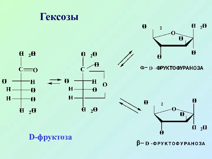 Гексозы D-фруктоза