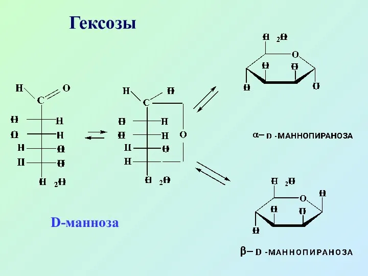 Гексозы D-манноза
