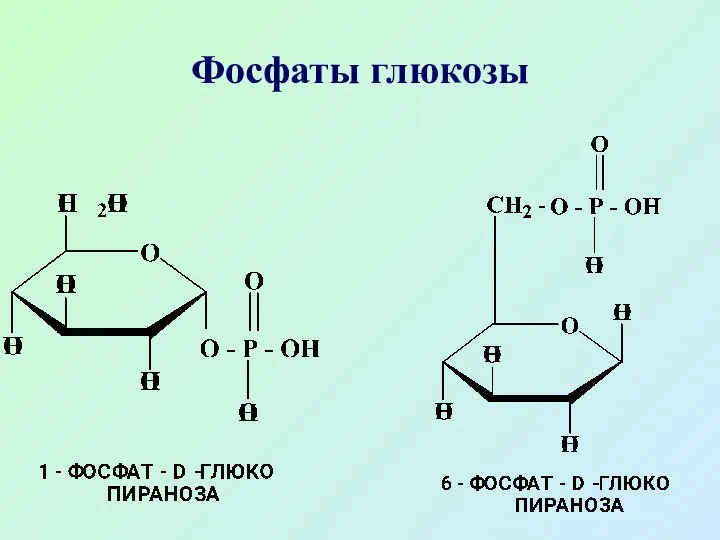 Фосфаты глюкозы