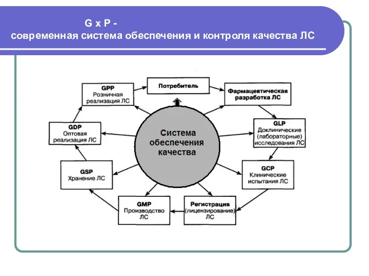 G x P - современная система обеспечения и контроля качества ЛС