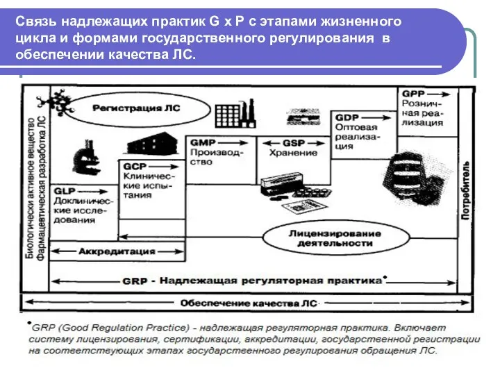 Связь надлежащих практик G x P с этапами жизненного цикла