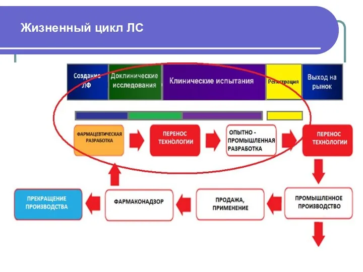 Жизненный цикл ЛС