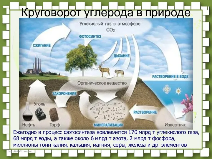 Кру­го­во­рот уг­ле­ро­да в при­ро­де Ежегодно в процесс фотосинтеза вовлекается 170 млрд т углекислого