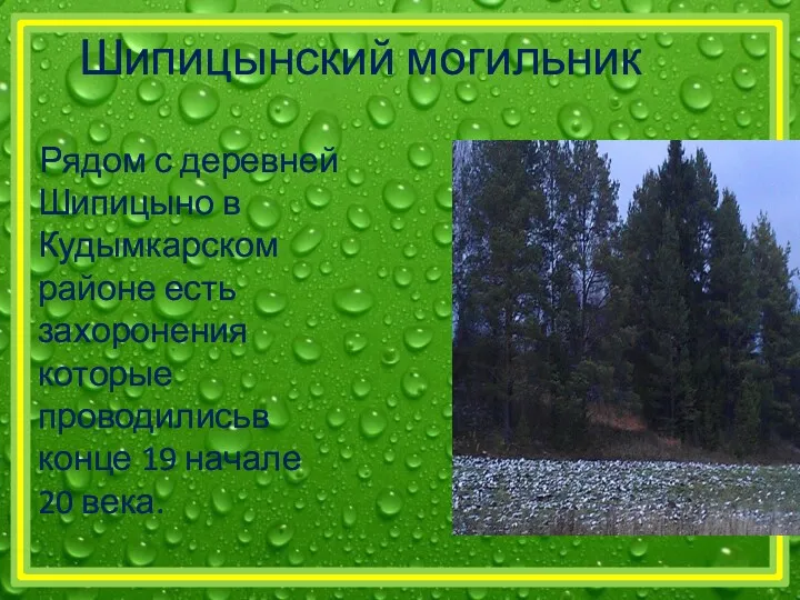 Рядом с деревней Шипицыно в Кудымкарском районе есть захоронения которые