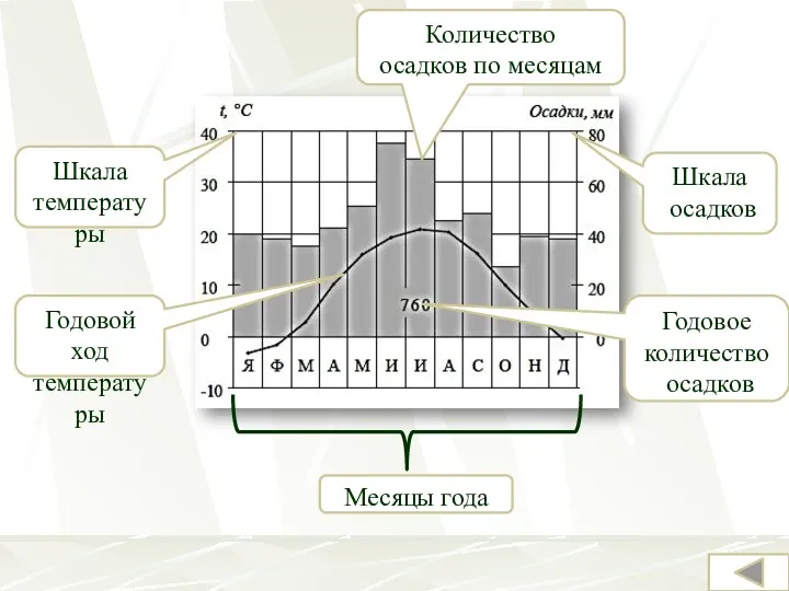 Шкала температуры Годовой ход температуры Шкала осадков Количество осадков по месяцам Годовое количество осадков Месяцы года