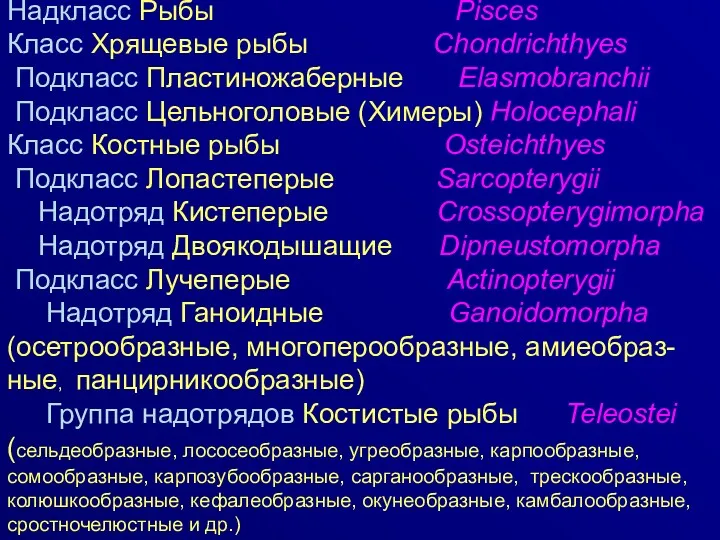 Надкласс Рыбы Pisces Класс Хрящевые рыбы Chondrichthyes Подкласс Пластиножаберные Elasmobranchii