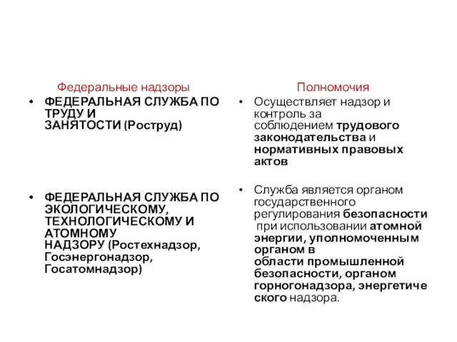 Федеральные надзоры ФЕДЕРАЛЬНАЯ СЛУЖБА ПО ТРУДУ И ЗАНЯТОСТИ (Роструд) ФЕДЕРАЛЬНАЯ