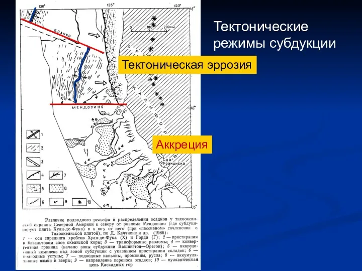 Тектонические режимы субдукции Тектоническая эррозия Аккреция