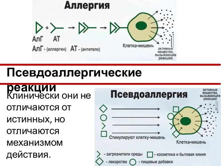 Клинически они не отличаются от истинных, но отличаются механизмом действия. Псевдоаллергические реакции