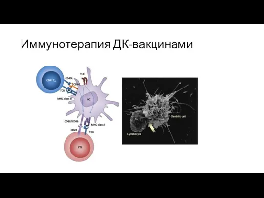 Иммунотерапия ДК-вакцинами