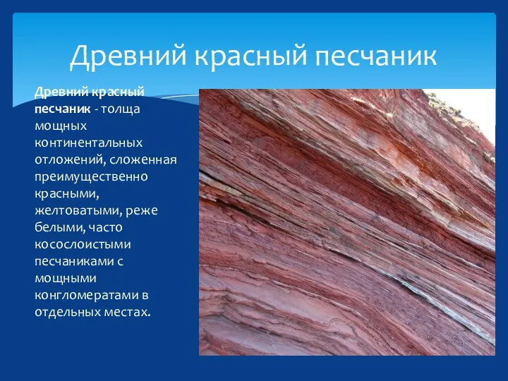 Древний красный песчаник Древний красный песчаник - толща мощных континентальных отложений, сложенная преимущественно